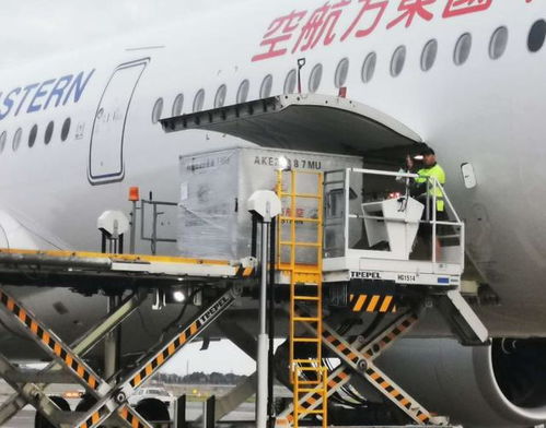 医疗物资风波 地缘博弈下的供应链变局