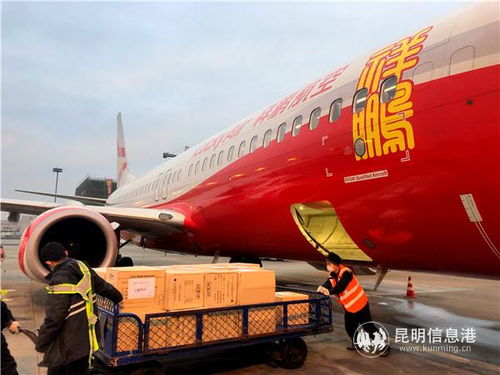 云南民航运输部门全力保障疫情防控物资与饲料生产运输