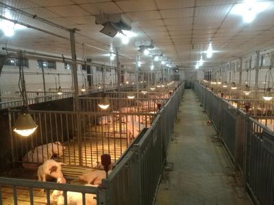 实验基地动物饲养管理体系